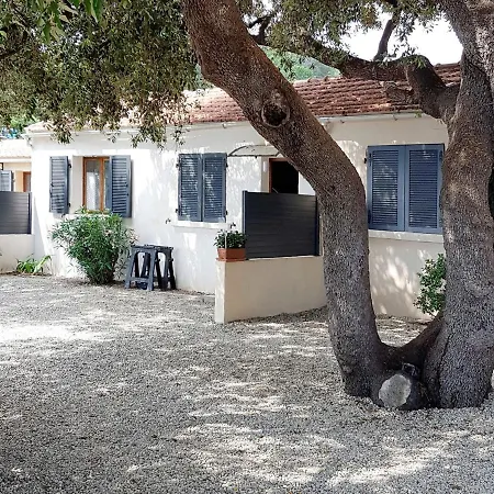 Mustella By Interhome סארי סולנזארה
